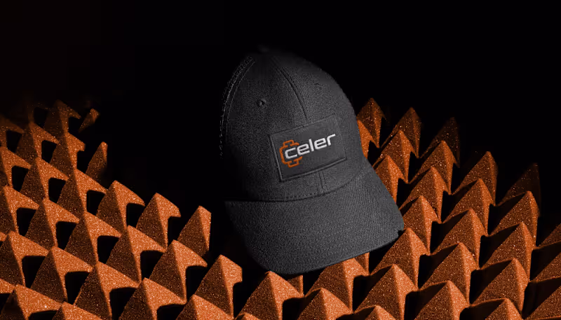 Cover image for Celerwheel Branding