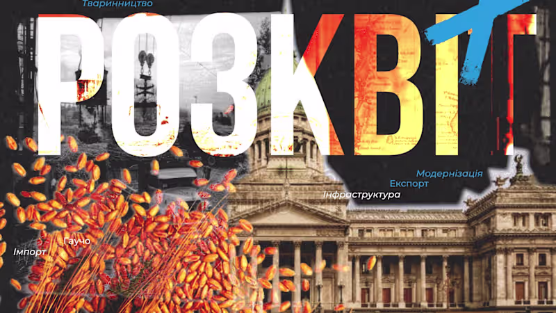 Cover image for Visual Concept: The Economics of Argentina