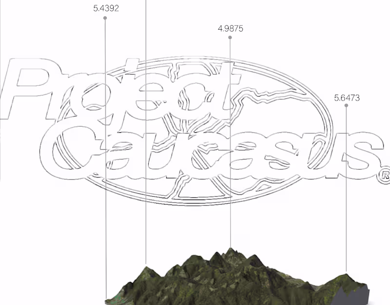 Cover image for Visual Identity Design for Project Caucasus