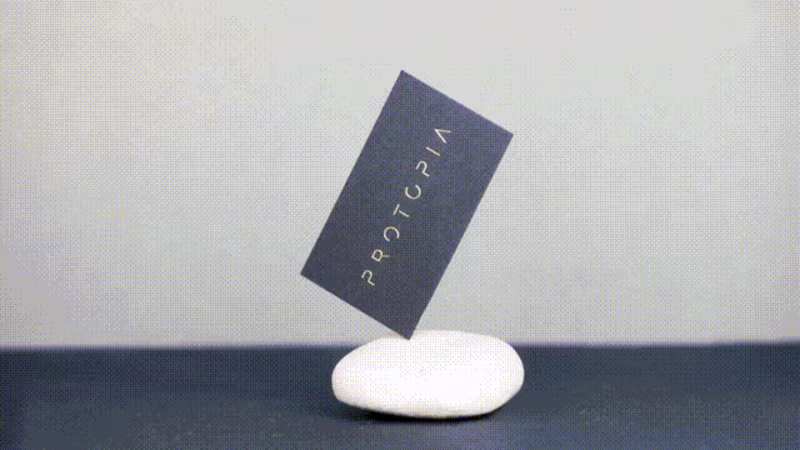 Cover image for Visual Identity for Protopia