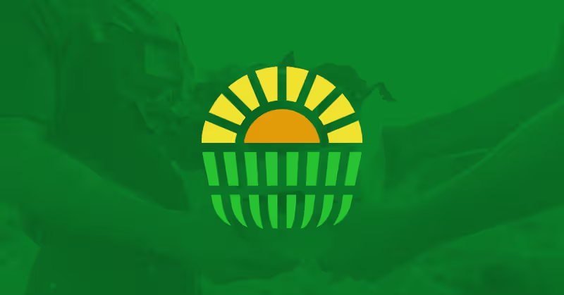 Cover image for Designing an Identity to Fight Hunger and Reduce Waste