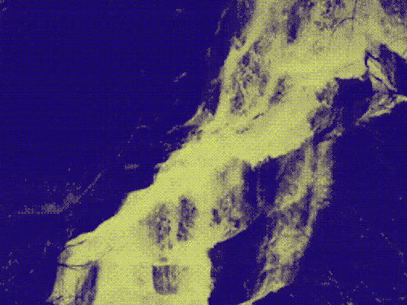 Cover image for © Apái Timpe [ album concept art + tour visual design ]