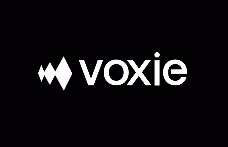 Cover image for voxie AI - MVP Visual Identity