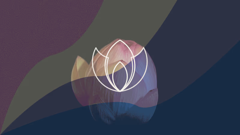 Cover image for Lotus - Personal Care Brand