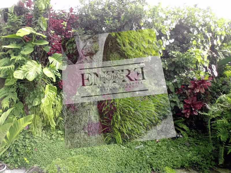 Cover image for I supported the development of