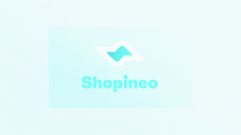 Cover image for  Shopineo - Simplifying Online Store Setup and Management
