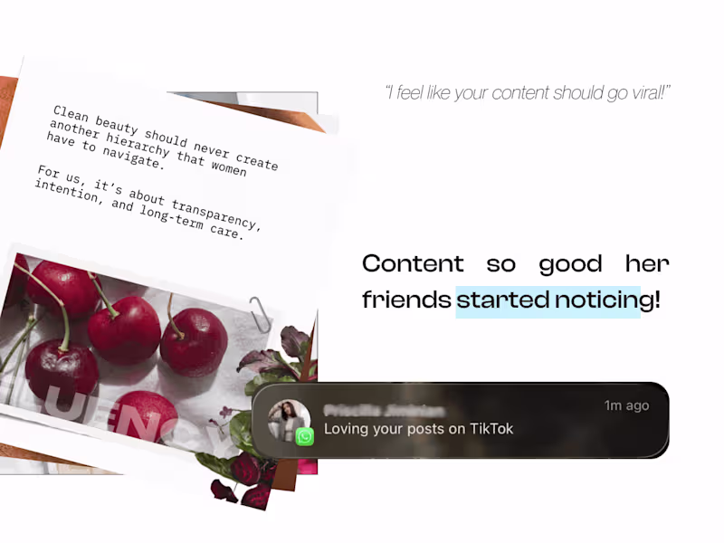 Cover image for Targeted TikTok Affiliate Program for Fluency Beauty