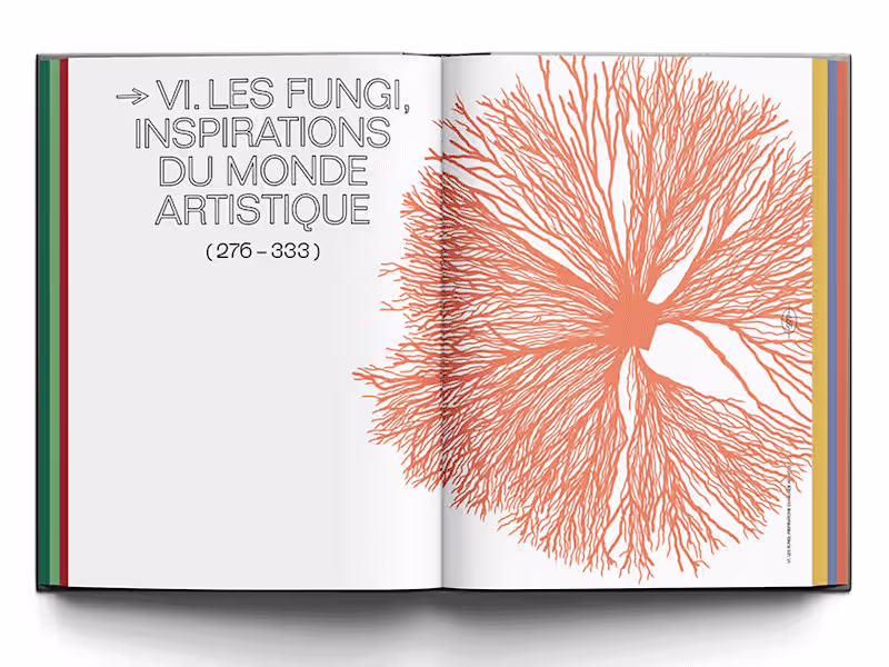 Cover image for Book design and lay out