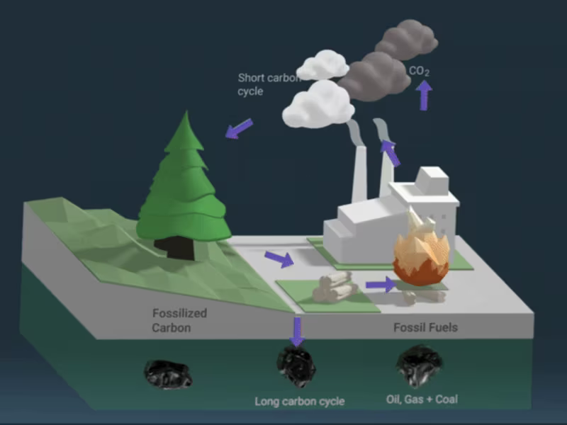 Cover image for Carbon cycle diagram - 3D Concept
