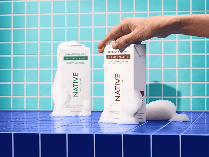 Cover image for Native Campaign