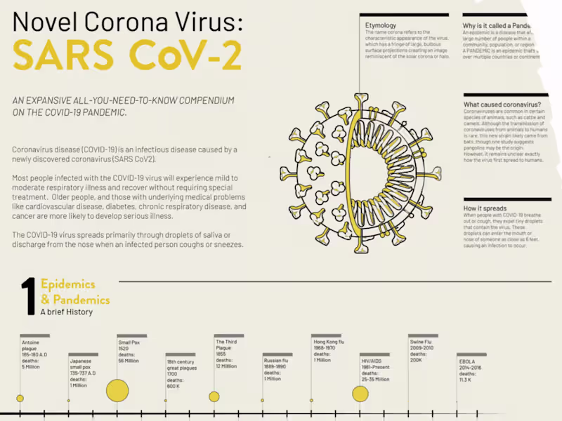 Cover image for COVID-19 Compendium: A Visually Engaging Webpage Design
