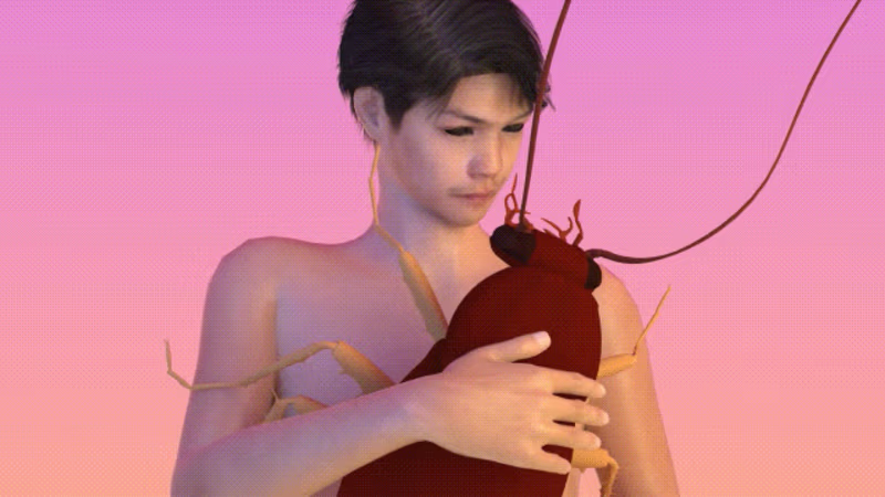 Cover image for DDDBANDIDOS Videoreel 2019