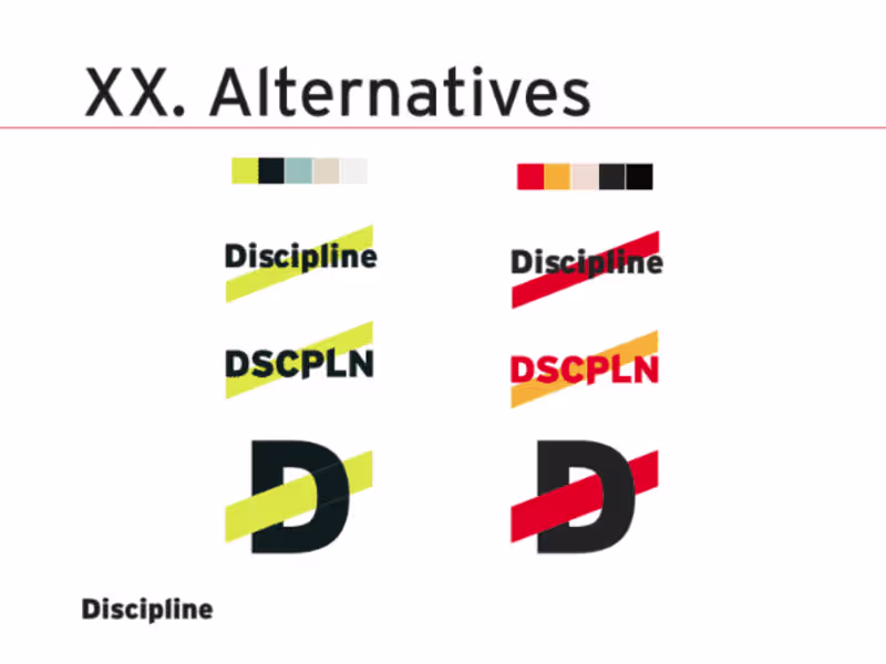 Cover image for Discipline "Visual Identity" Full Brand Guide