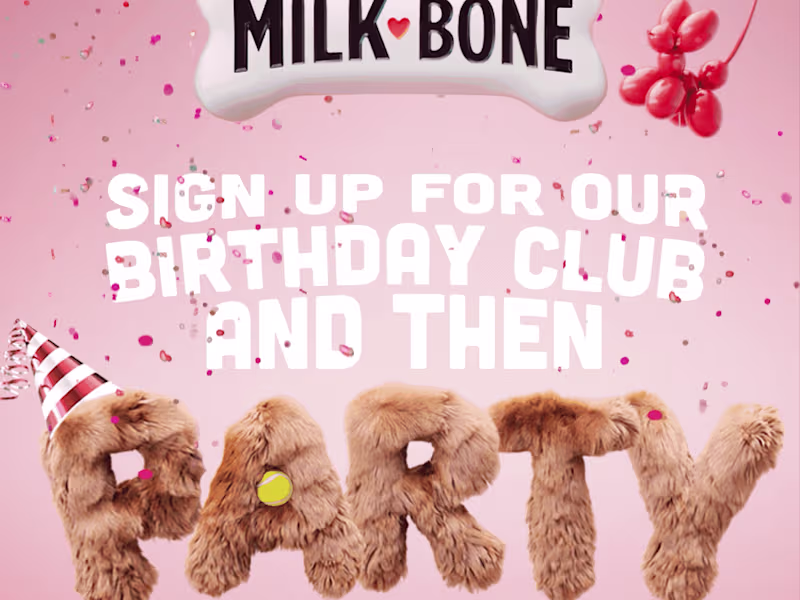 Cover image for  Milkbone - Bringing Treat-Time to Life 