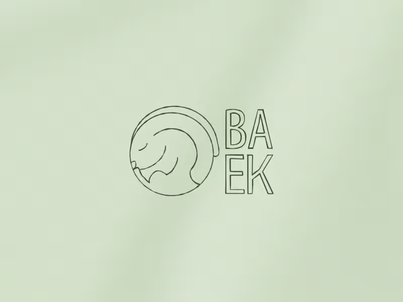 Cover image for Baek- Traditional Korean Bakery