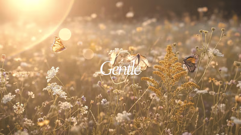 Cover image for AURELIA