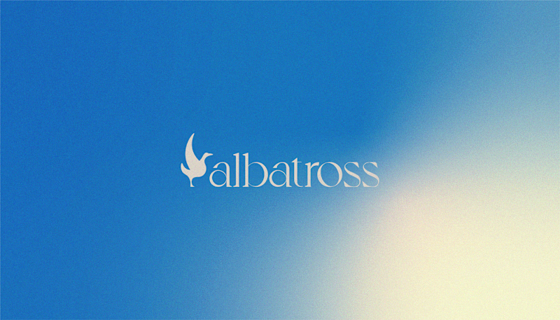 Cover image for Albatross Care Visual Identity
