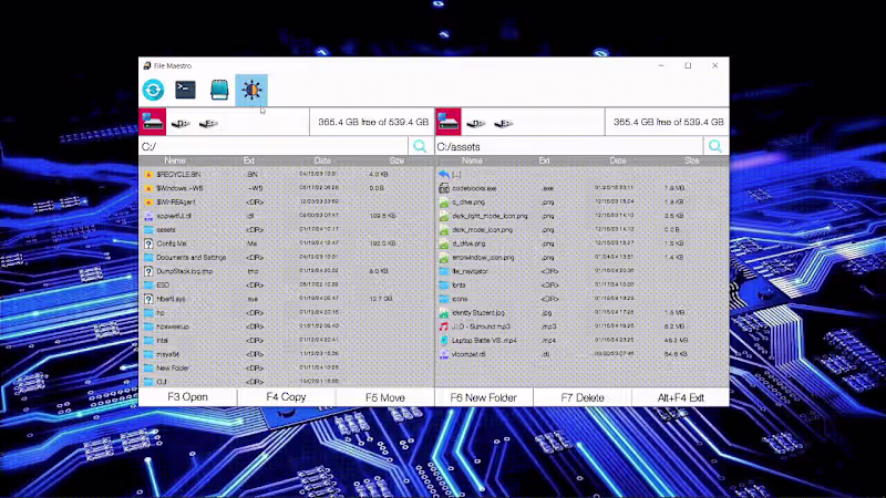 Cover image for iancustefan26/File-Maestro