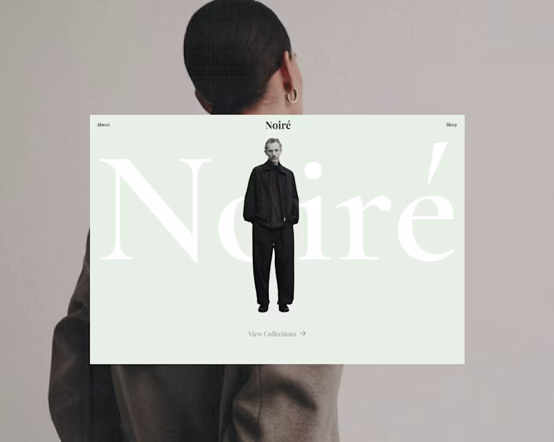 Cover image for Noiré