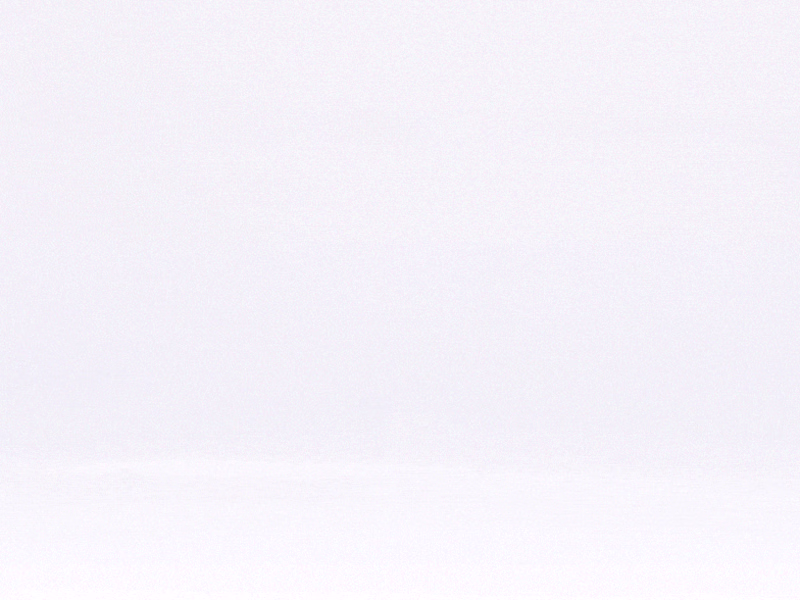 Cover image for Creative Promo
