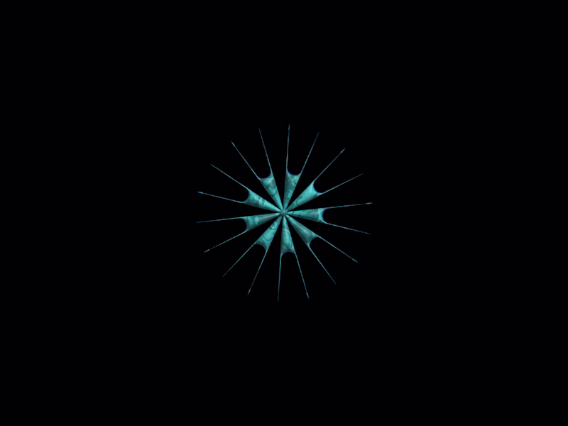 Cover image for ELOMA Branding | Creative strategy | Visual Identity