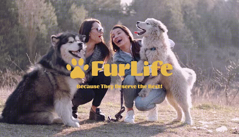 Cover image for FurLife | Visual Identity