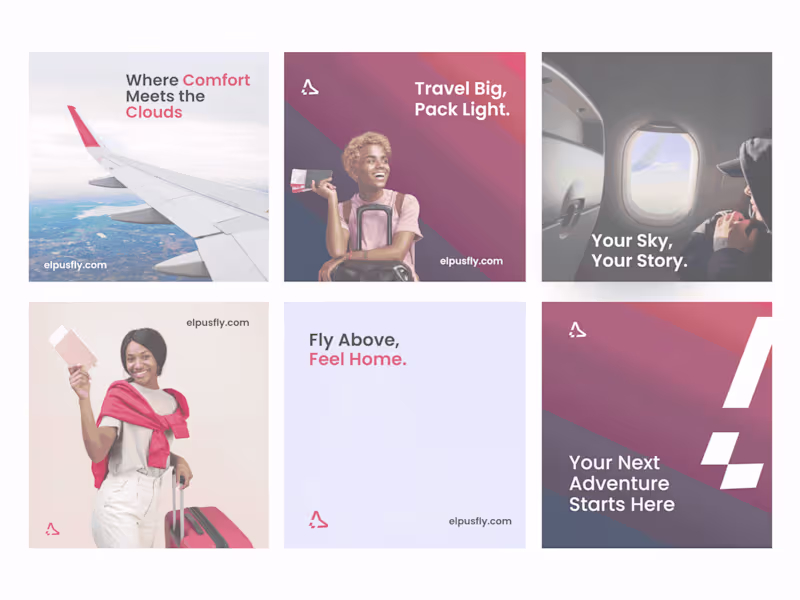 Cover image for Elpusfly approached me to create a complete brand identity t...