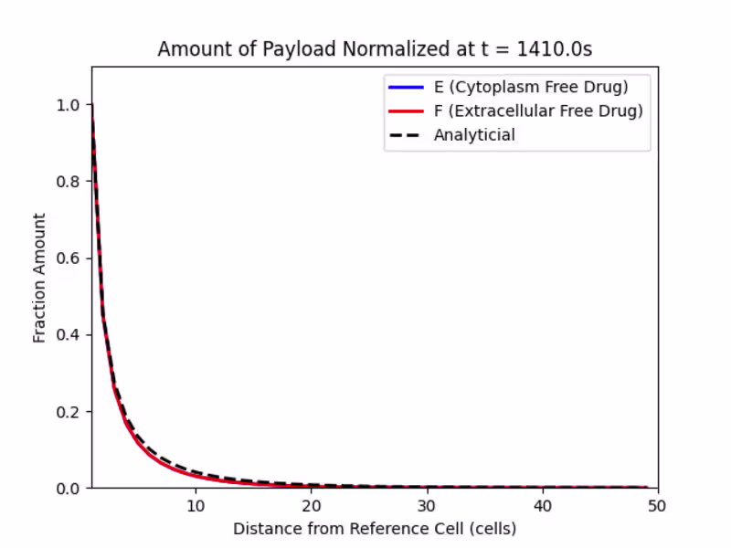 Cover image for Computational Model of Drug Dispersion in Tumors