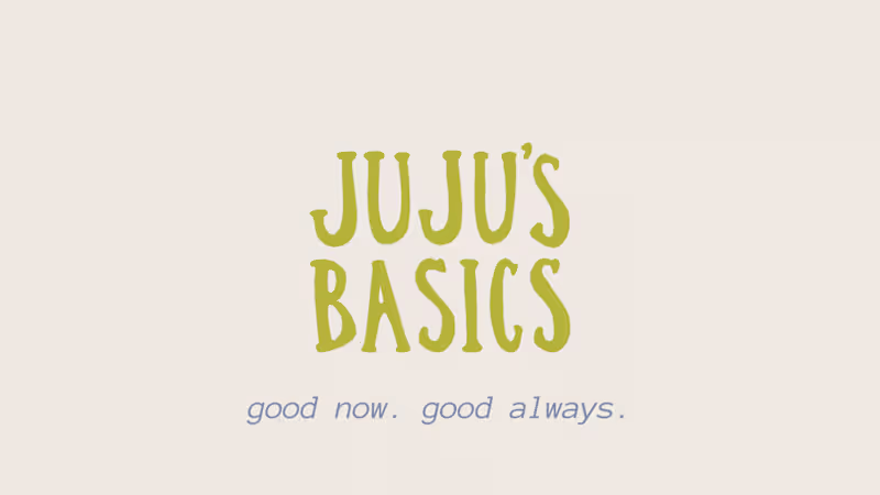 Cover image for Juju's Basics