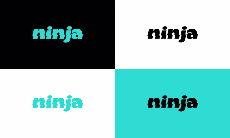 Cover image for Ninja App - Branding