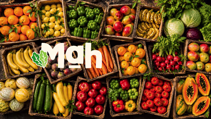Cover image for Mahebba Brand Identity Development