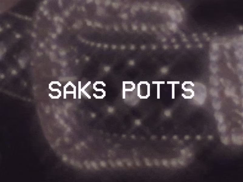 Cover image for SAKS POTTS