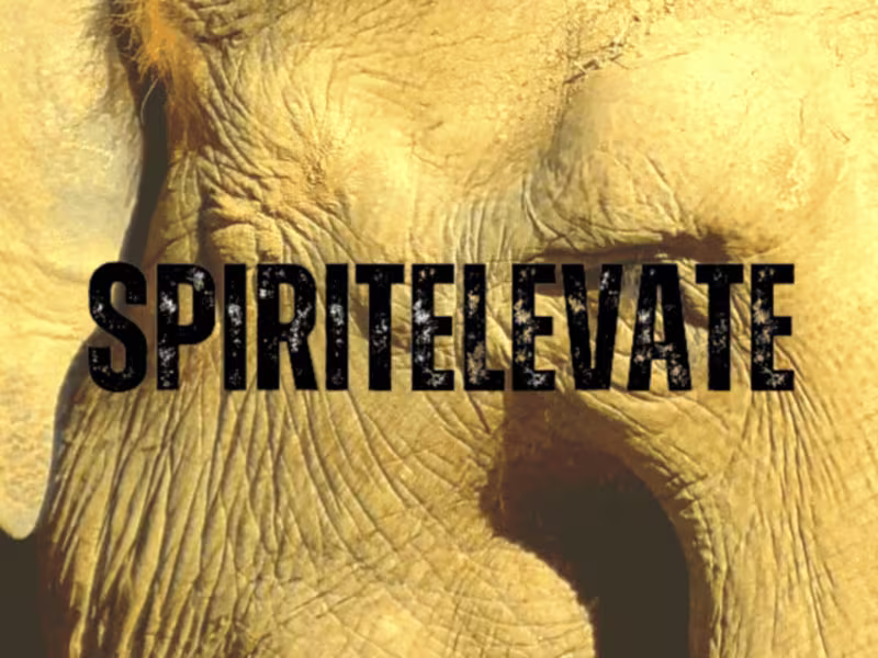 Cover image for SPIRITELEVATE | Web-Design & Blog Writing 🌐 📜