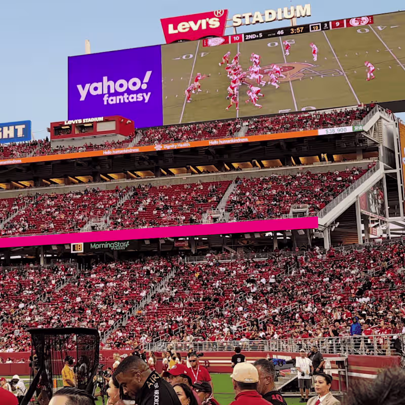Cover image for Paint the Stadium Purple