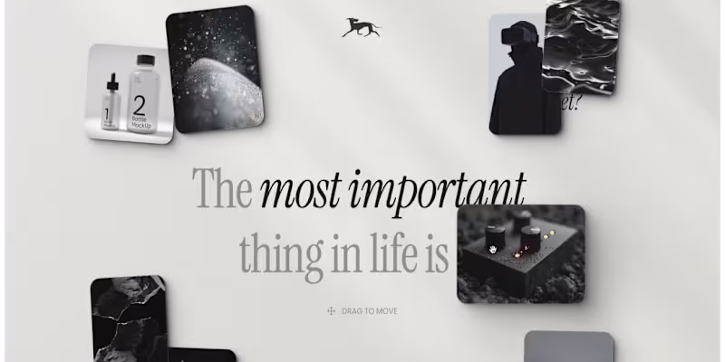 Cover image for An interactive website for people to explore.