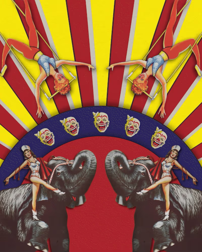 Cover image for Music Videos