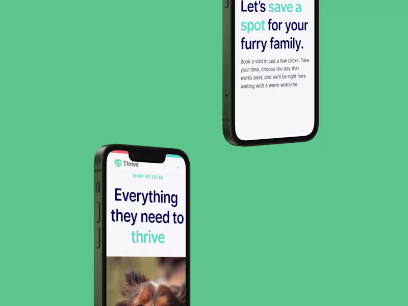 Cover image for Thrive Vet