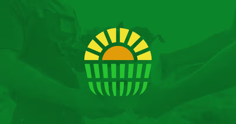 Cover image for Designing an Identity to Fight Hunger and Reduce Waste