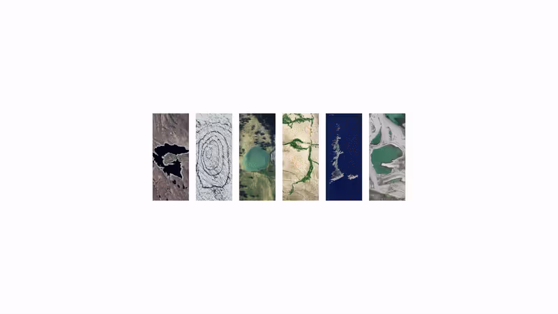 Cover image for Google Earth Day