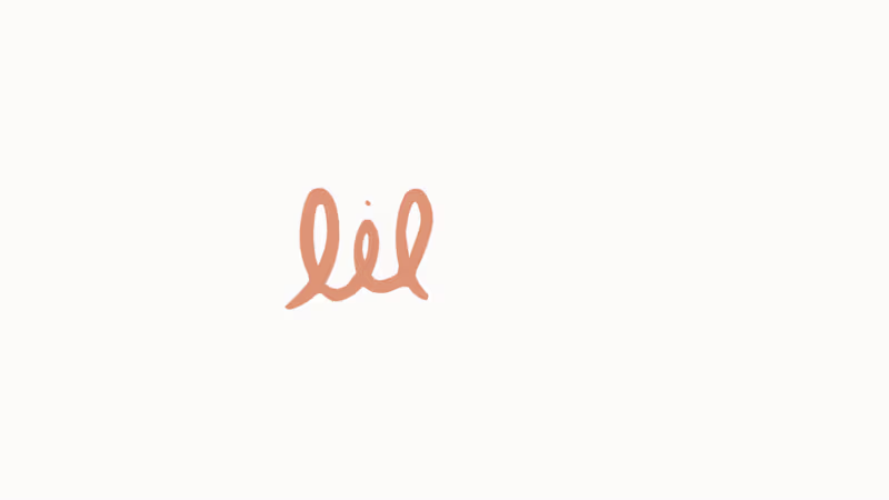 Cover image for Liloons Frame-by-Frame Animated Logo