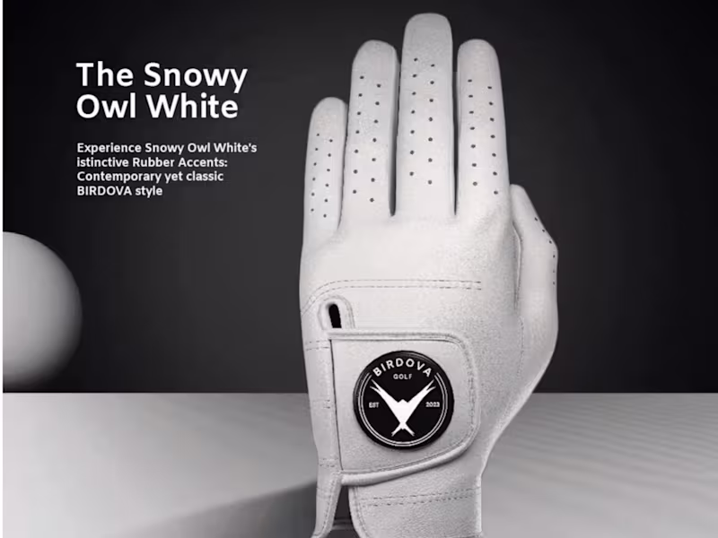 Cover image for Birdova Branding