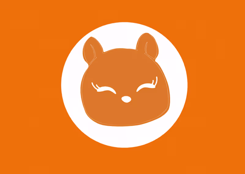 Cover image for RiMi | Montessori Toys Visual Identity