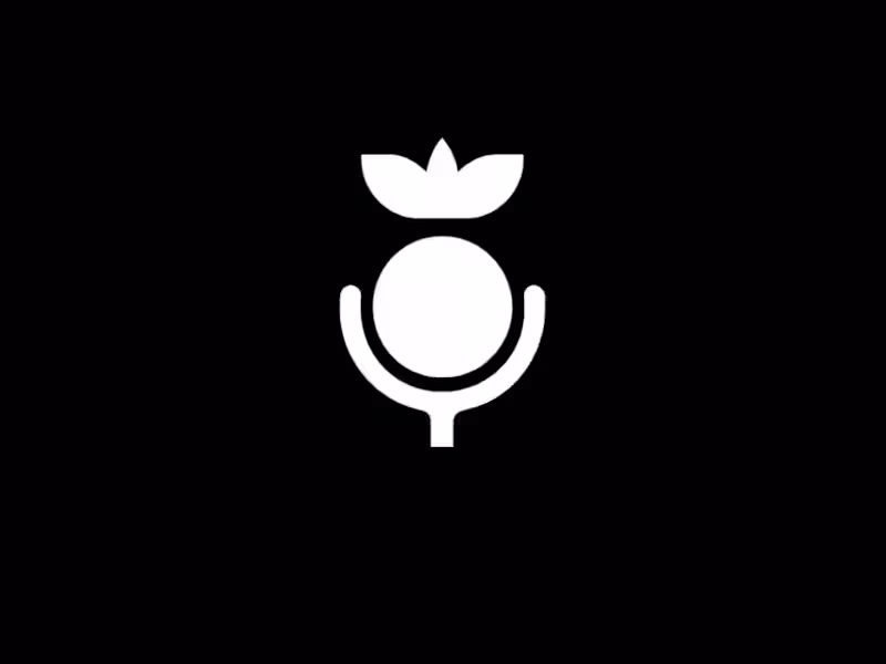Cover image for Logo & Brand Marks Vol.2