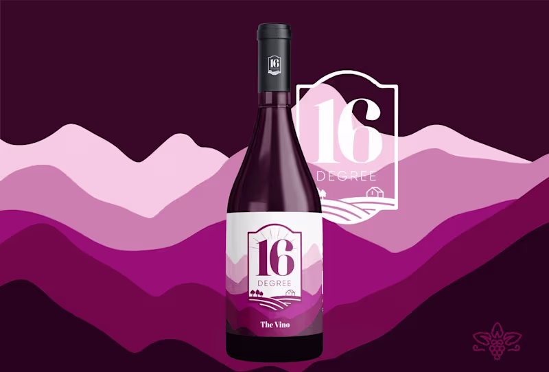 Cover image for 16 DEGREE FRUIT WINE | Brand Identity & Packaging on Behance