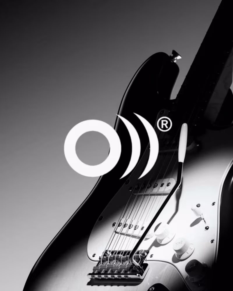 Cover image for The sound behind the symbol.
A