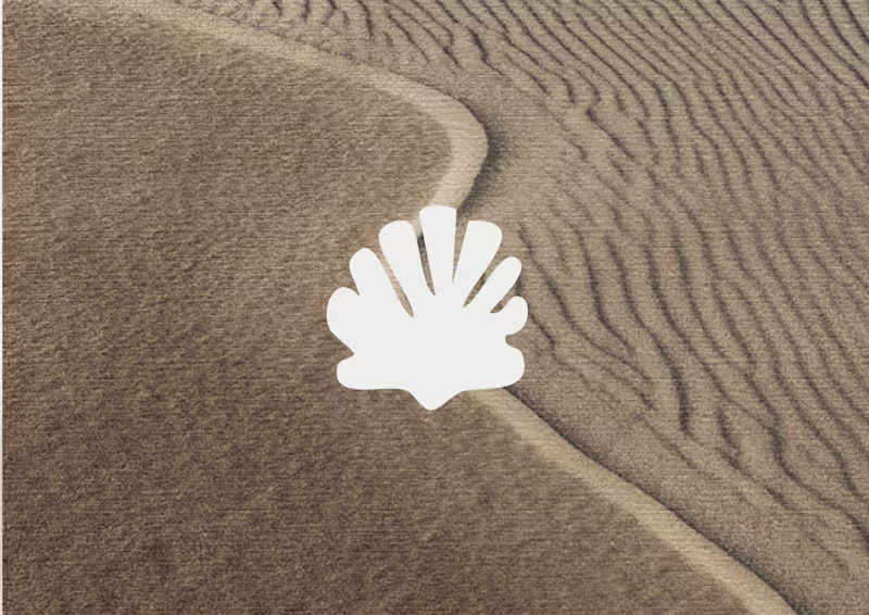Cover image for Identidad de Marca - Biodecodifiación