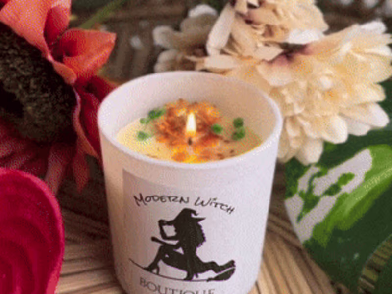 Cover image for Modern Witch Boutique - Logo and Graphic Design
