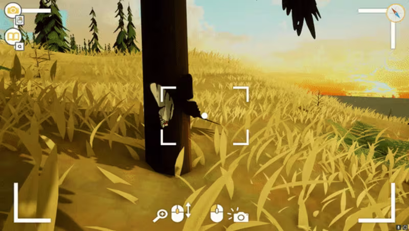 Cover image for Explore the Wild