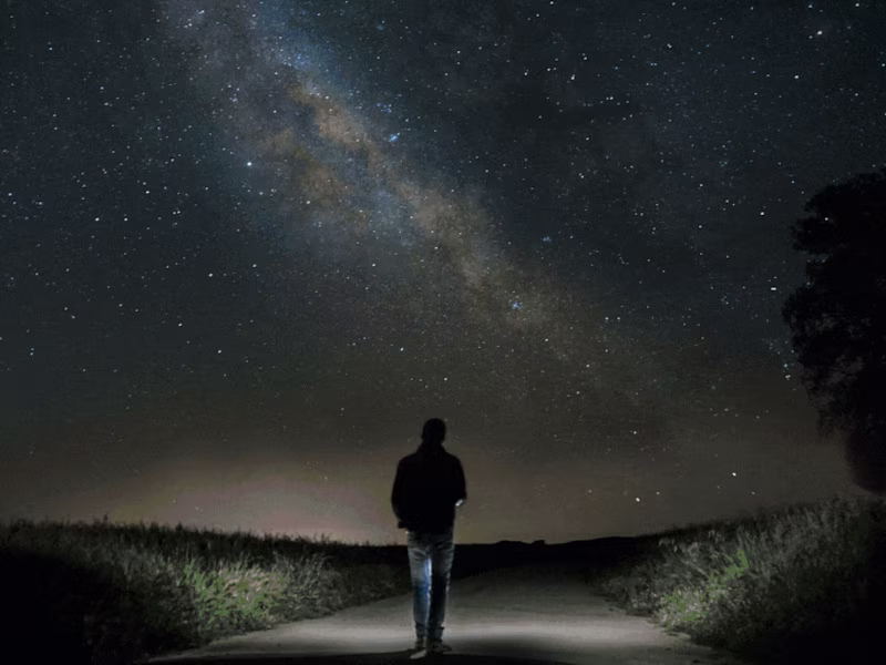 Cover image for CREATORself