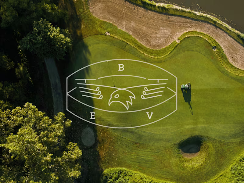 Cover image for Birdie Eye Views